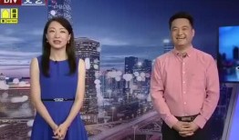 最新爆料新闻事件视频播放,新闻事件视频播放引发热议，真相究竟如何？