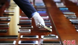 捕盗行动最新爆料,捕盗行动最新爆料曝光