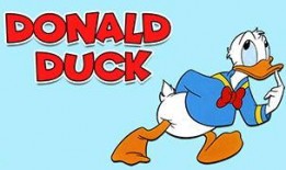 小星手绘爆料视频大全,揭秘视频大全背后的精彩瞬间